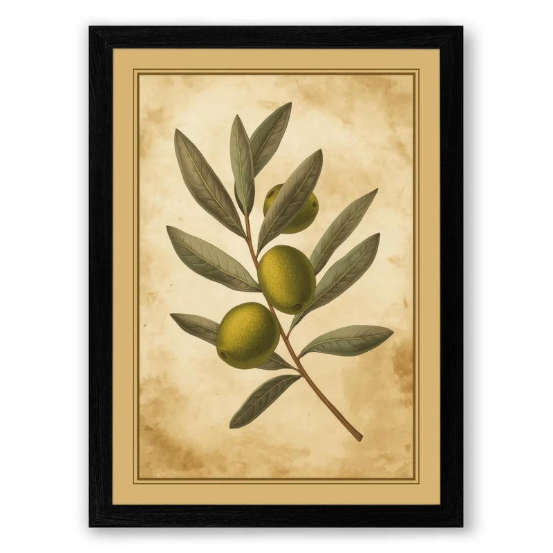 Olive Branch Study Botanical Framed Wall Art Print A1 (84.1×59.4cm) Black, Wall Decor for Living Room, Bedroom, Office & Home, Ready to Hang, Art Gift