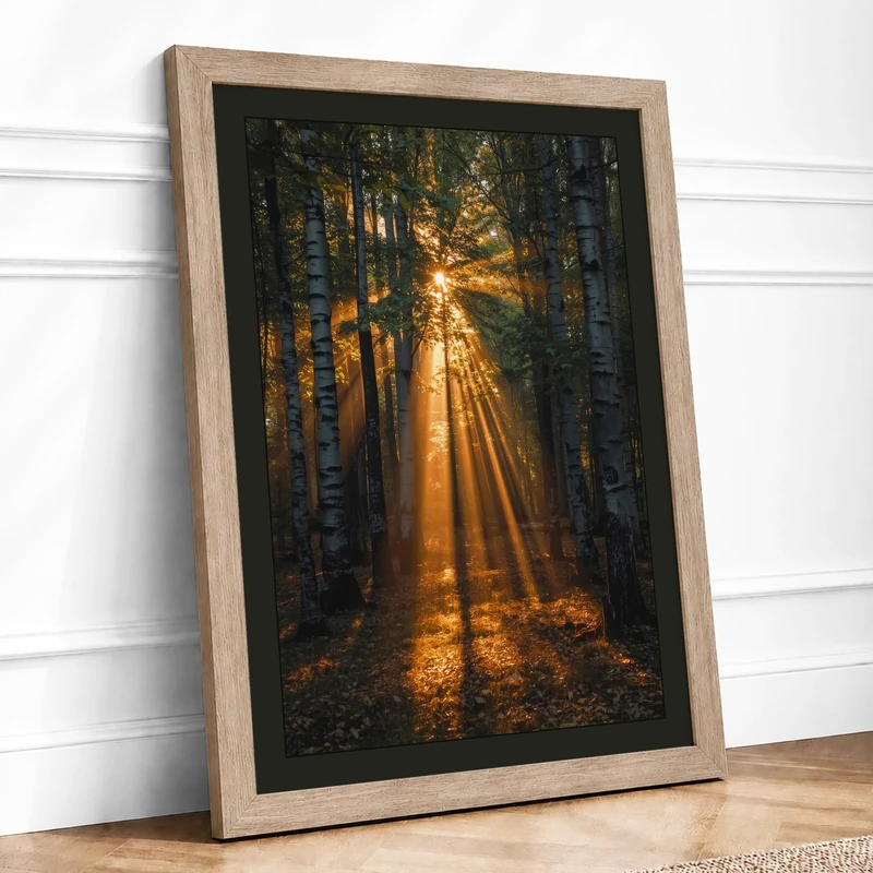 Golden Light Through Forest Scandinavian Framed Wall Art Print A1 (84.1×59.4cm) Oak, Wall Decor for Living Room, Bedroom, Office & Home, Ready to Hang, Art Gift