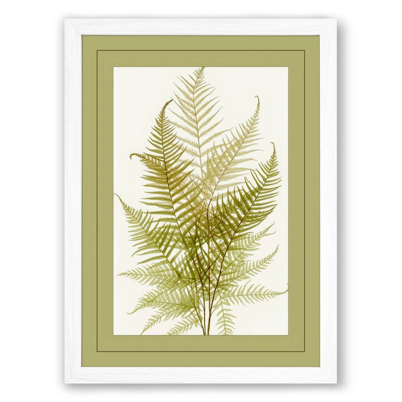 Fern Study in Olive Botanical Framed Wall Art Print A1 (84.1×59.4cm) White, Wall Decor for Living Room, Bedroom, Office & Home, Ready to Hang, Art Gift