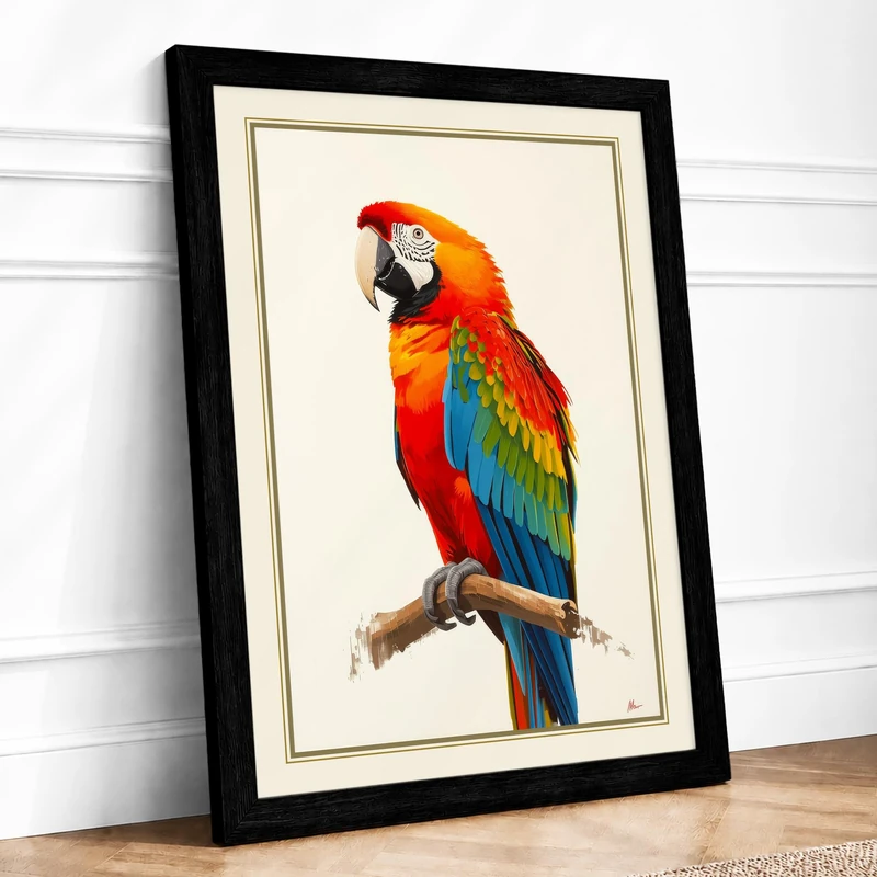 Scarlet Macaw Study Botanical Framed Wall Art Print A1 (84.1×59.4cm) Black, Wall Decor for Living Room, Bedroom, Office & Home, Ready to Hang, Art Gift