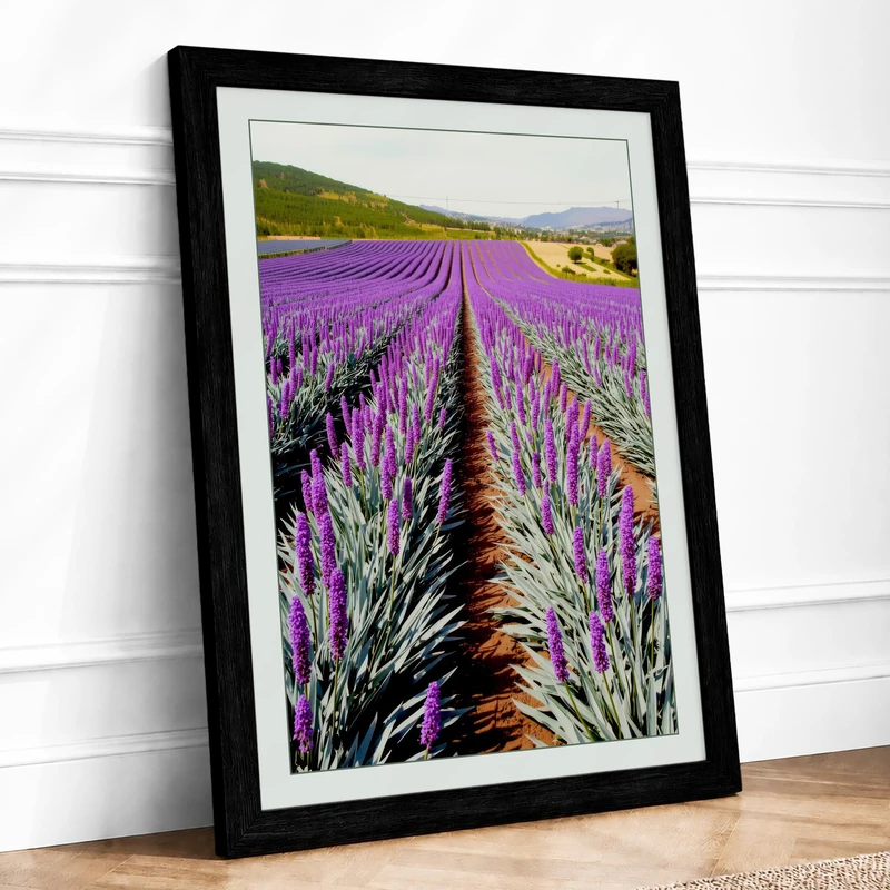 Lavender Fields Botanical Framed Wall Art Print A1 (84.1×59.4cm) Black, Wall Decor for Living Room, Bedroom, Office & Home, Ready to Hang, Art Gift
