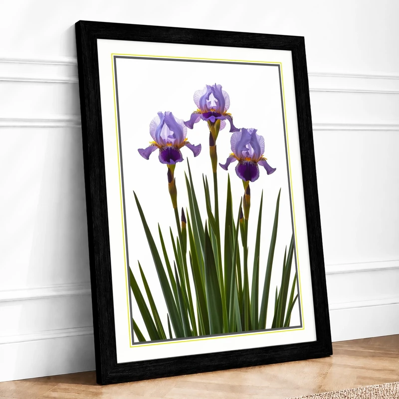 Iris Bloom Botanical Framed Wall Art Print A1 (84.1×59.4cm) Black, Wall Decor for Living Room, Bedroom, Office & Home, Ready to Hang, Art Gift