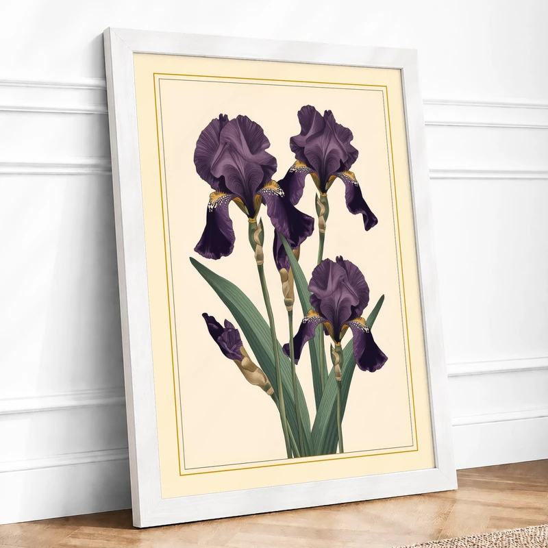 Purple Iris Study Botanical Framed Wall Art Print A1 (84.1×59.4cm) White, Wall Decor for Living Room, Bedroom, Office & Home, Ready to Hang, Art Gift