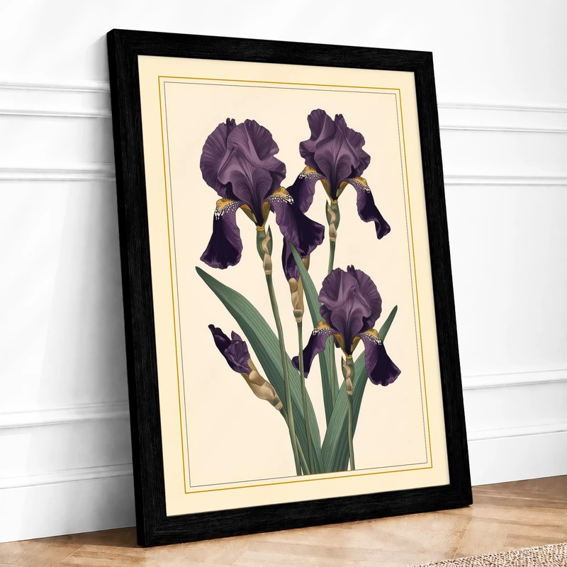 Purple Iris Study Botanical Framed Wall Art Print A1 (84.1×59.4cm) Black, Wall Decor for Living Room, Bedroom, Office & Home, Ready to Hang, Art Gift