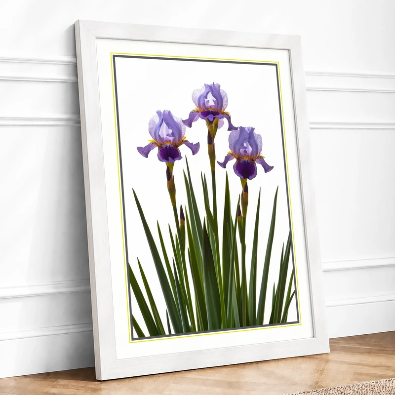 Iris Bloom Botanical Framed Wall Art Print A1 (84.1×59.4cm) White, Wall Decor for Living Room, Bedroom, Office & Home, Ready to Hang, Art Gift