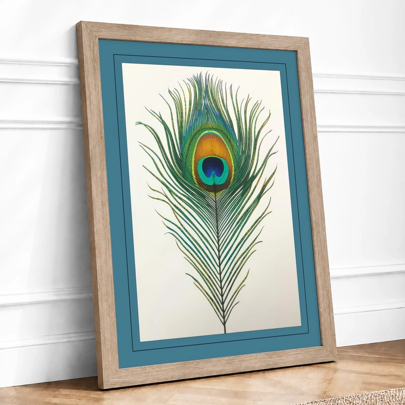 Peacock Feather Study Botanical Framed Wall Art Print A1 (84.1×59.4cm) Oak, Wall Decor for Living Room, Bedroom, Office & Home, Ready to Hang, Art Gift