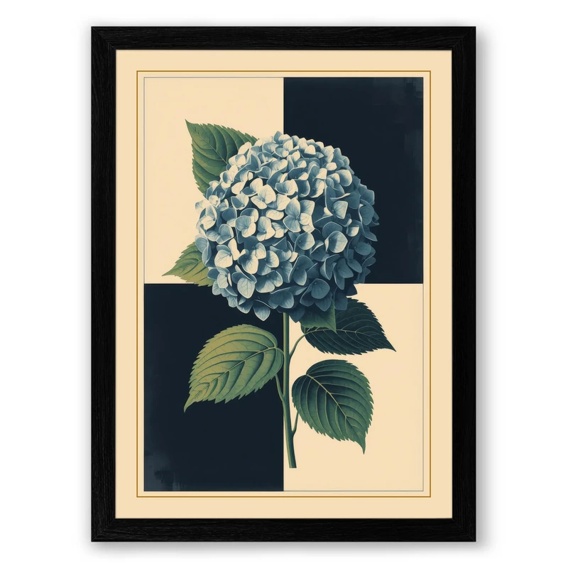 Hydrangea Study Botanical Framed Wall Art Print A1 (84.1×59.4cm) Black, Wall Decor for Living Room, Bedroom, Office & Home, Ready to Hang, Art Gift