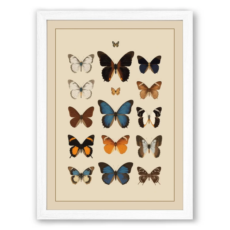 Butterfly Collection Vintage Framed Wall Art Print A1 (84.1×59.4cm) White, Wall Decor for Living Room, Bedroom, Office & Home, Ready to Hang, Art Gift