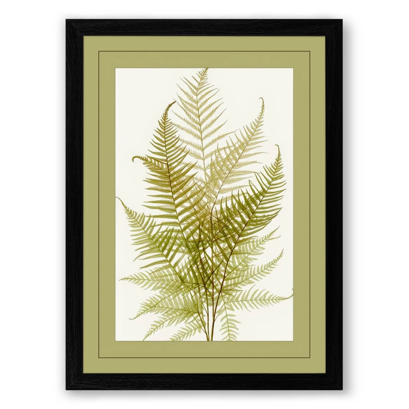 Fern Study in Olive Botanical Framed Wall Art Print A1 (84.1×59.4cm) Black, Wall Decor for Living Room, Bedroom, Office & Home, Ready to Hang, Art Gift
