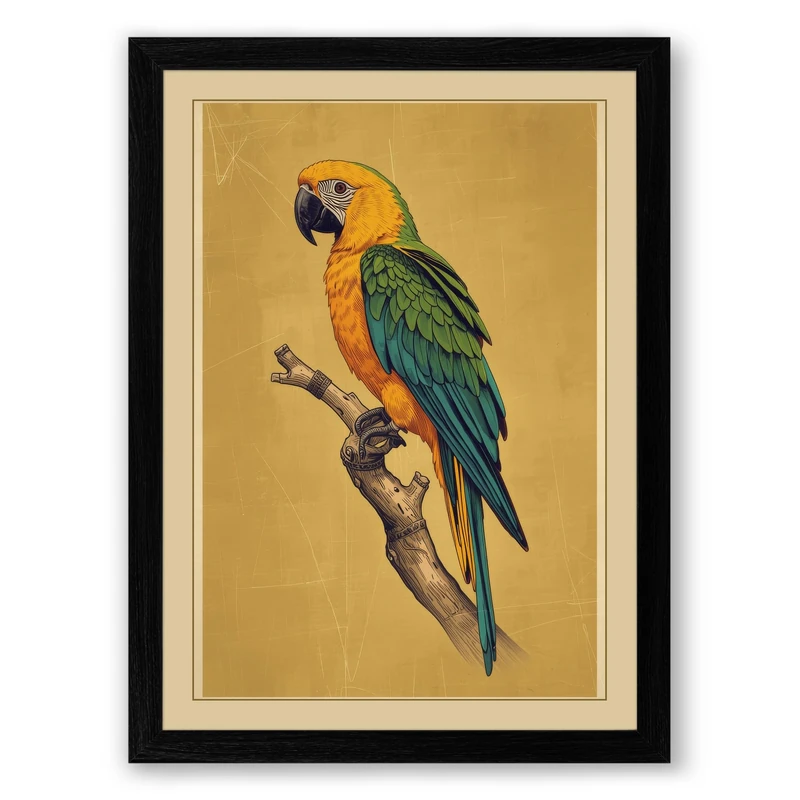 Macaw on Branch Botanical Framed Wall Art Print A1 (84.1×59.4cm) Black, Wall Decor for Living Room, Bedroom, Office & Home, Ready to Hang, Art Gift