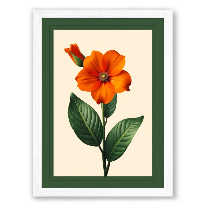 Orange Bloom with Stamens Botanical Framed Wall Art Print A1 (84.1×59.4cm) White, Wall Decor for Living Room, Bedroom, Office & Home, Ready to Hang, Art Gift