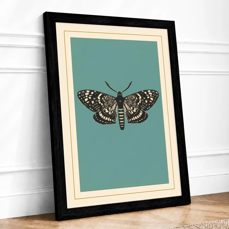 Specimen Moth Study Botanical Framed Wall Art Print A1 (84.1×59.4cm) Black, Wall Decor for Living Room, Bedroom, Office & Home, Ready to Hang, Art Gift