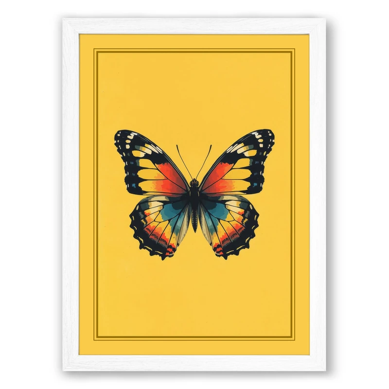 Specimen Butterfly Modern Framed Wall Art Print A1 (84.1×59.4cm) White, Wall Decor for Living Room, Bedroom, Office & Home, Ready to Hang, Art Gift