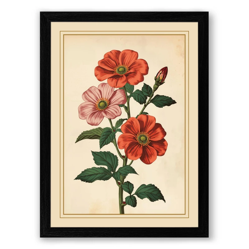 Flowering Plant Study Botanical Framed Wall Art Print A1 (84.1×59.4cm) Black, Wall Decor for Living Room, Bedroom, Office & Home, Ready to Hang, Art Gift