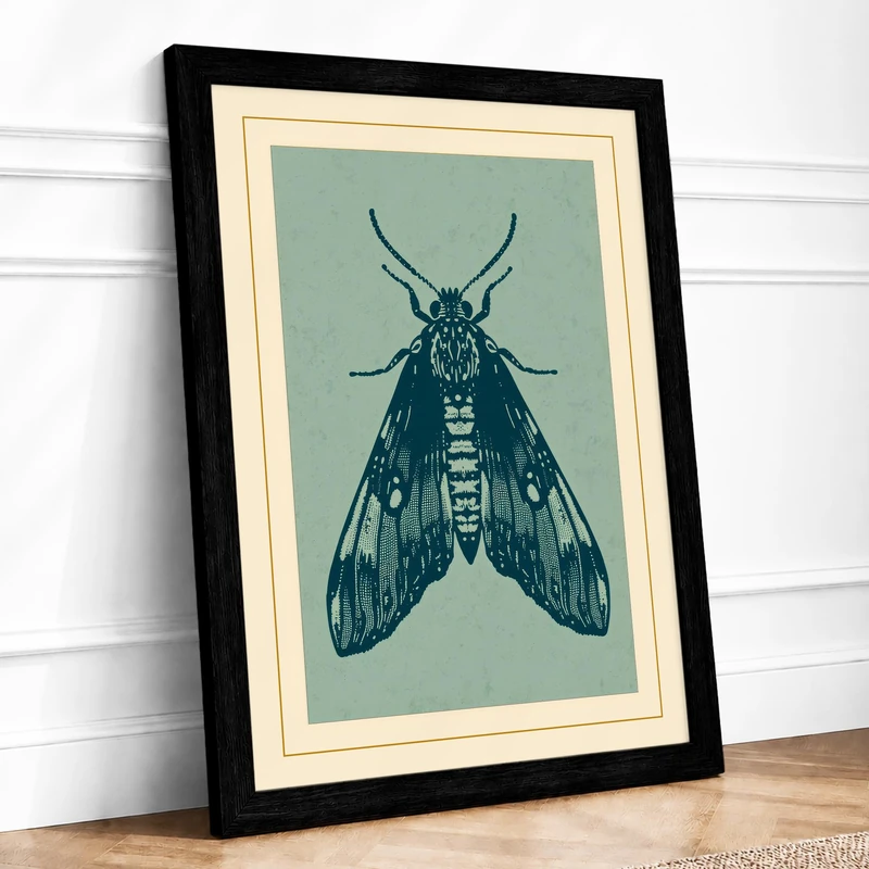 Sage Moth Study Botanical Framed Wall Art Print A1 (84.1×59.4cm) Black, Wall Decor for Living Room, Bedroom, Office & Home, Ready to Hang, Art Gift