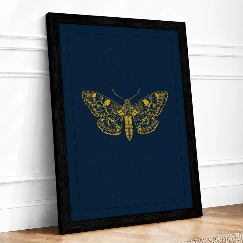 Golden Moth Specimen Minimalist Framed Wall Art Print A1 (84.1×59.4cm) Black, Wall Decor for Living Room, Bedroom, Office & Home, Ready to Hang, Art Gift