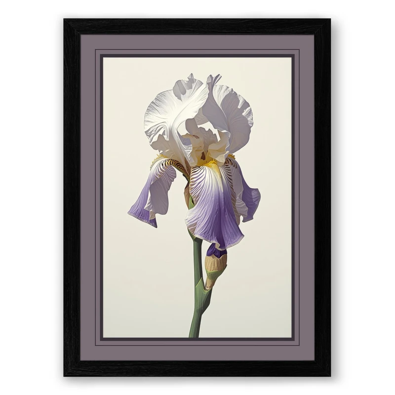Iris in Bloom Botanical Framed Wall Art Print A1 (84.1×59.4cm) Black, Wall Decor for Living Room, Bedroom, Office & Home, Ready to Hang, Art Gift