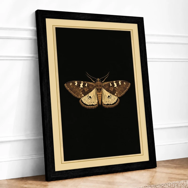 Specimen Moth Botanical Framed Wall Art Print A1 (84.1×59.4cm) Black, Wall Decor for Living Room, Bedroom, Office & Home, Ready to Hang, Art Gift