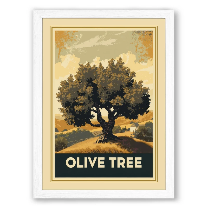 Olive Tree Vintage Framed Wall Art Print A1 (84.1×59.4cm) White, Wall Decor for Living Room, Bedroom, Office & Home, Ready to Hang, Art Gift