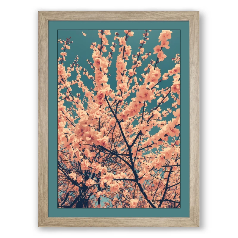Moonlit Cherry Blossom Botanical Framed Wall Art Print A1 (84.1×59.4cm) Oak, Wall Decor for Living Room, Bedroom, Office & Home, Ready to Hang, Art Gift
