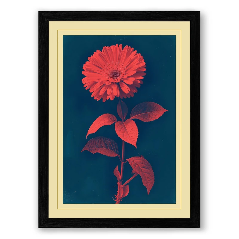 Single Stem in Red Botanical Framed Wall Art Print A1 (84.1×59.4cm) Black, Wall Decor for Living Room, Bedroom, Office & Home, Ready to Hang, Art Gift