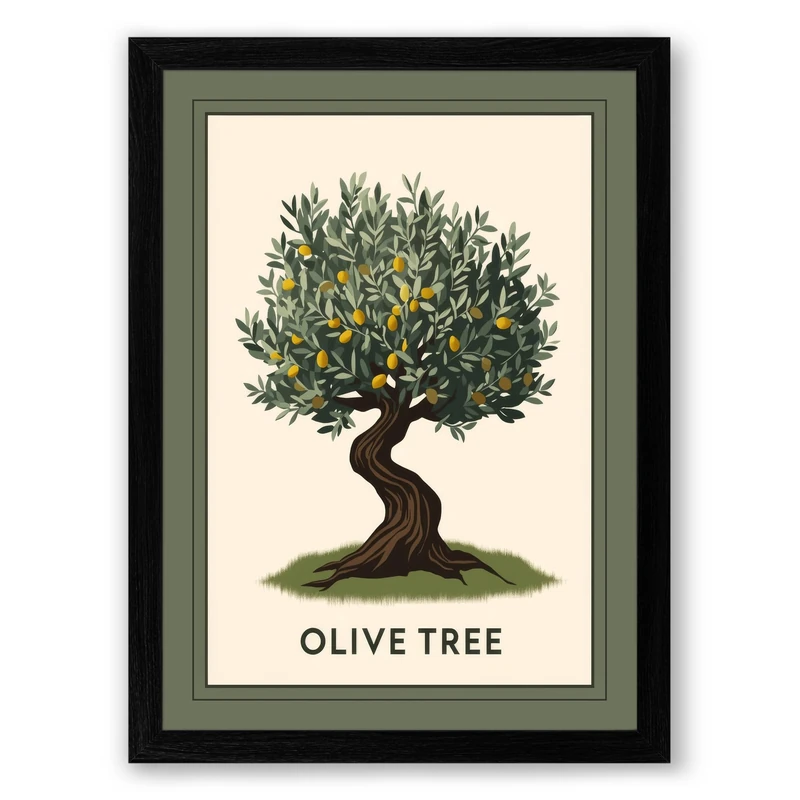 Olive Tree Botanical Framed Wall Art Print A1 (84.1×59.4cm) Black, Wall Decor for Living Room, Bedroom, Office & Home, Ready to Hang, Art Gift
