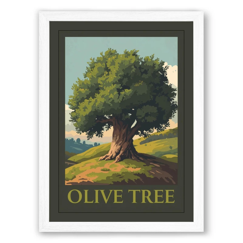 Ancient Olive Tree Botanical Framed Wall Art Print A1 (84.1×59.4cm) White, Wall Decor for Living Room, Bedroom, Office & Home, Ready to Hang, Art Gift