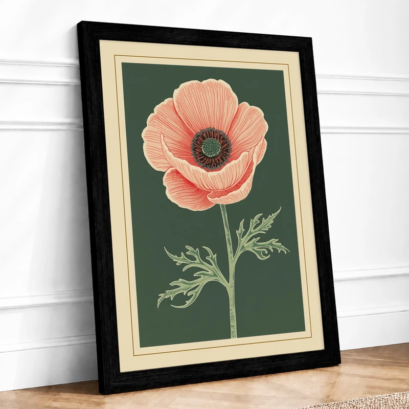 Coral Poppy Study Botanical Framed Wall Art Print A1 (84.1×59.4cm) Black, Wall Decor for Living Room, Bedroom, Office & Home, Ready to Hang, Art Gift