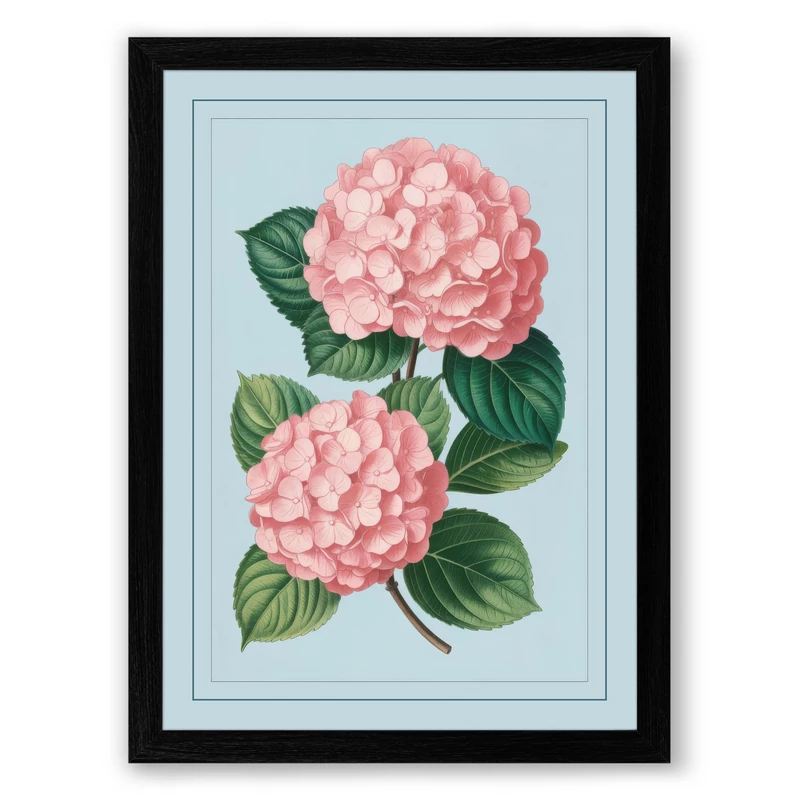 Pink Hydrangeas Botanical Framed Wall Art Print A1 (84.1×59.4cm) Black, Wall Decor for Living Room, Bedroom, Office & Home, Ready to Hang, Art Gift