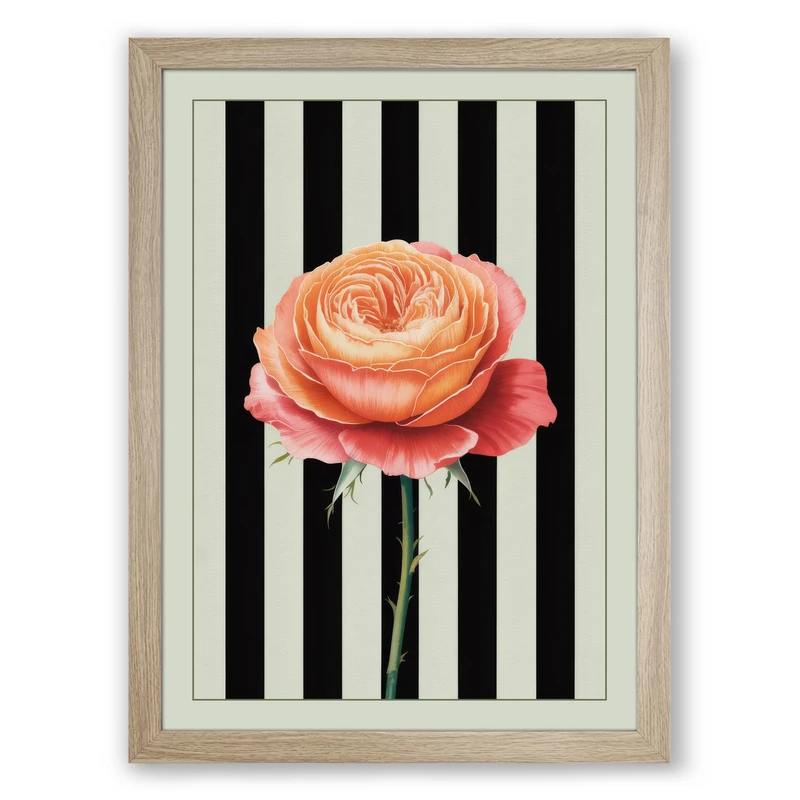Ranunculus on Stripes Botanical Framed Wall Art Print A1 (84.1×59.4cm) Oak, Wall Decor for Living Room, Bedroom, Office & Home, Ready to Hang, Art Gift