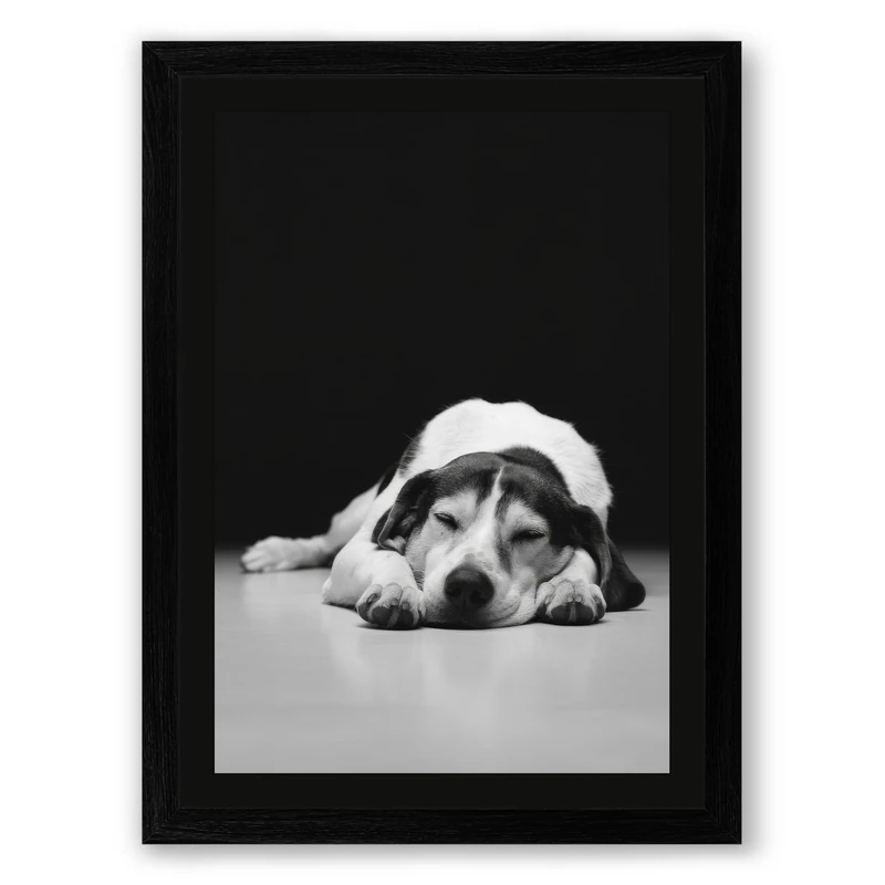 Dog in Contemplation Minimalist Framed Wall Art Print A1 (84.1×59.4cm) Black, Wall Decor for Living Room, Bedroom, Office & Home, Ready to Hang, Art Gift