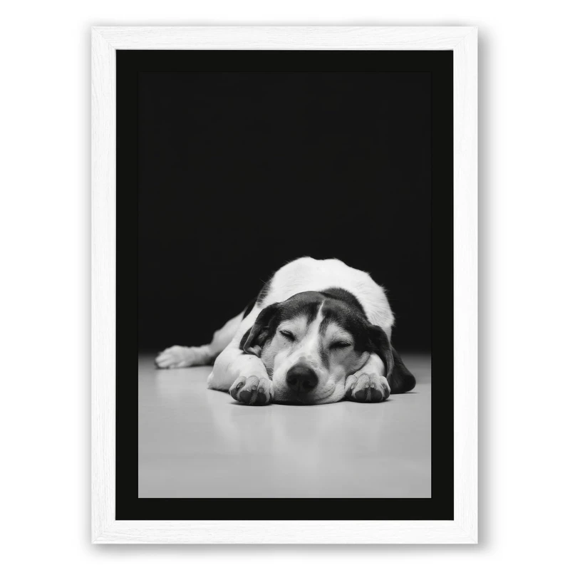 Dog in Contemplation Minimalist Framed Wall Art Print A1 (84.1×59.4cm) White, Wall Decor for Living Room, Bedroom, Office & Home, Ready to Hang, Art Gift - Image 1