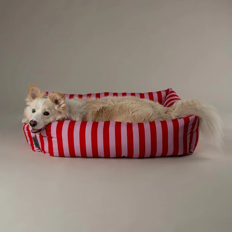 Scruffs Amalfi Dog Box Bed (XL)
