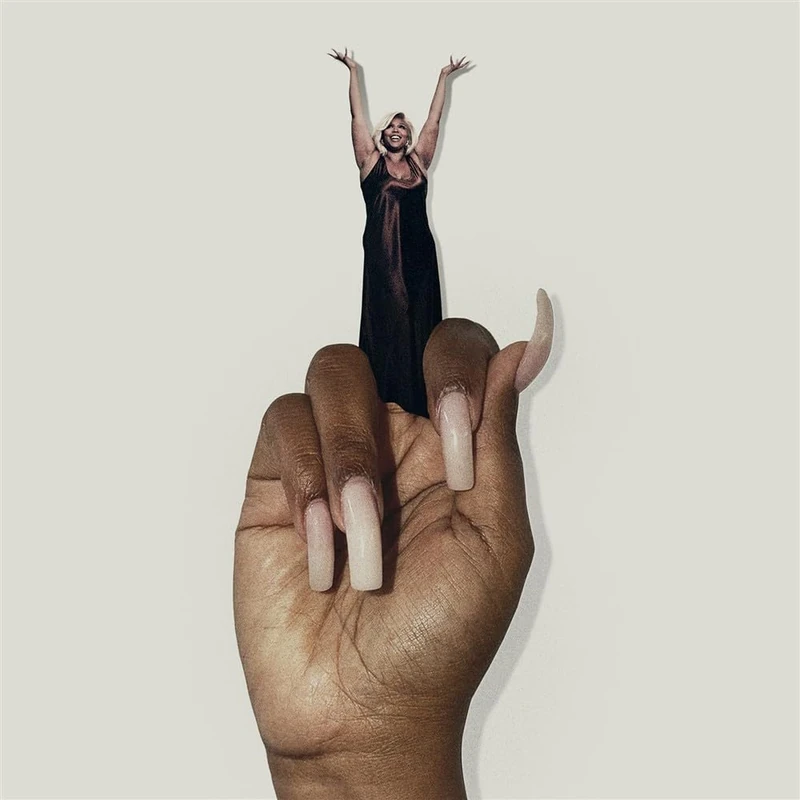 Bitch (Copper Black Ice Vin.) [VINYL] - Image 1