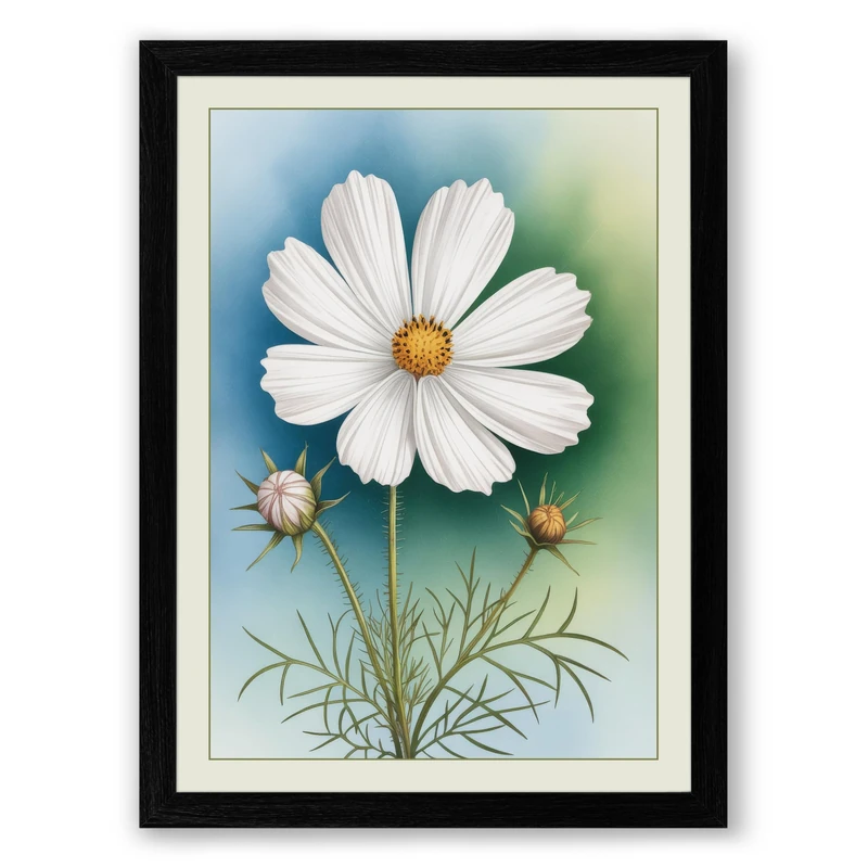 Single Daisy Study Botanical Framed Wall Art Print A1 (84.1×59.4cm) Black, Wall Decor for Living Room, Bedroom, Office & Home, Ready to Hang, Art Gift