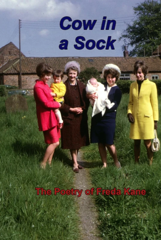 Cow in a Sock: The Poetry of Freda Kane