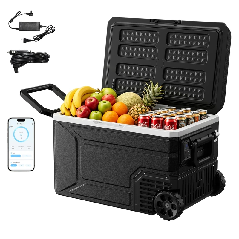 EUHOMY 65L Car Fridge, Electric Cool Box with APP Control, 12V/24V DC & 100~240V AC Camping Fridge, Portable Freezer with Wheels for Truck/RV/Camping/Travel, -20℃ to 20℃