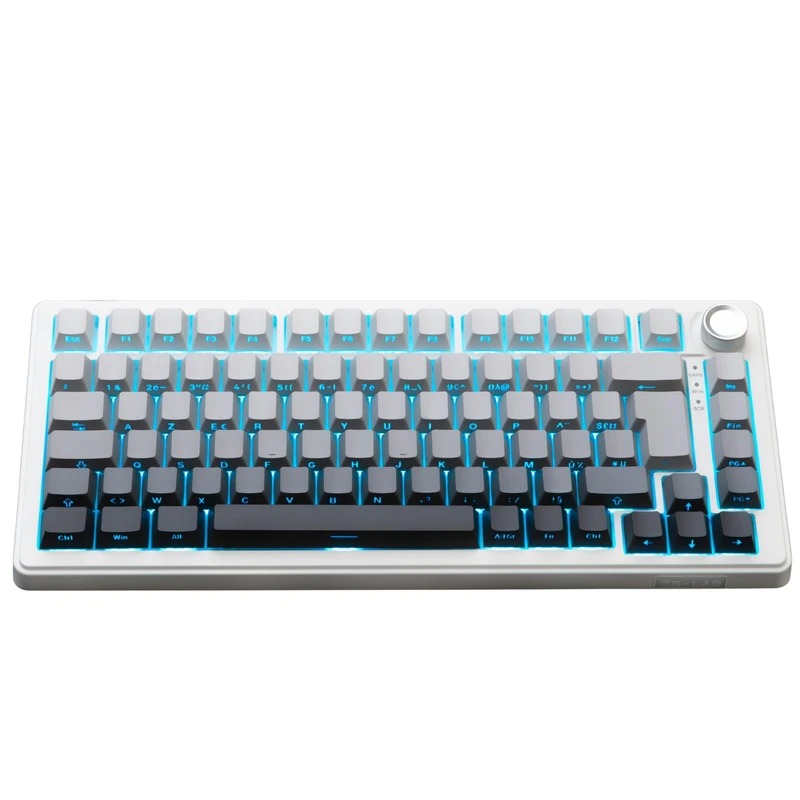The G-Lab KEYZ Elite 300 GRW - TKL Tri Mode 2.4 GHz Wireless Gamer Keyboard/Bluetooth/Wired - Mechanical Hot Swap Keyboard, Pre-Lubricated Switches, Side Engraving, RGB+Macro - AZERTY FR - Windows/Mac