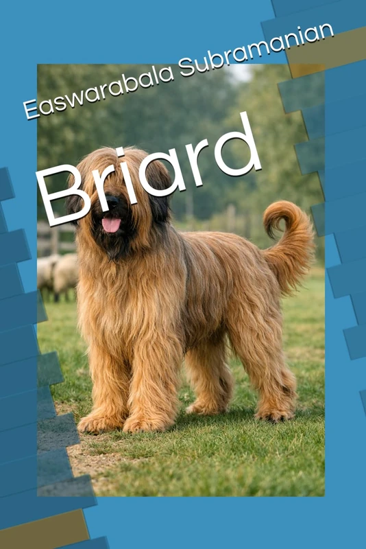 Briard: 28 (Dogs)