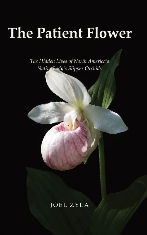 The Patient Flower: The Hidden Lives of North America's Native Lady's Slipper