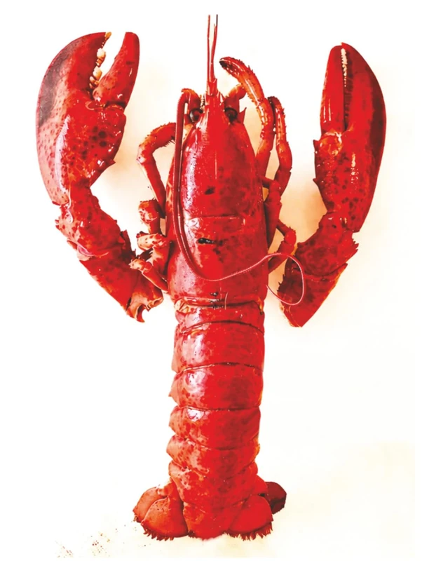 Rodney's Kitchen presents SEAFOOD EVERYDAY