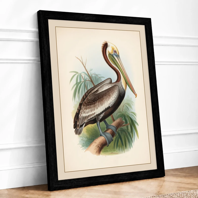 Brown Pelican Study Vintage Framed Wall Art Print A1 (84.1×59.4cm) Black, Wall Decor for Living Room, Bedroom, Office & Home, Ready to Hang, Art Gift