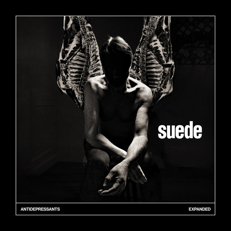 Antidepressants [VINYL]