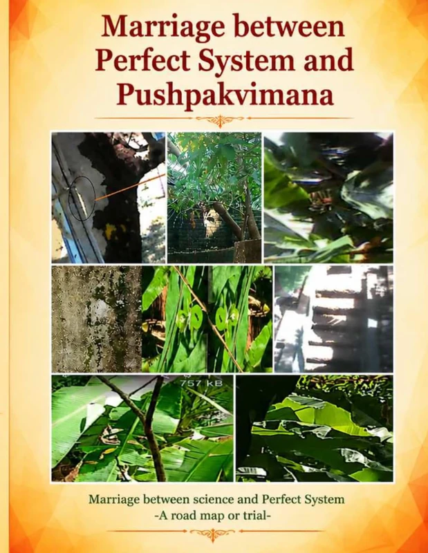 Marriage between Perfect System and Pushpakvimana: Marriage between science and Perfect System -A road map or trial: 1 - Image 1