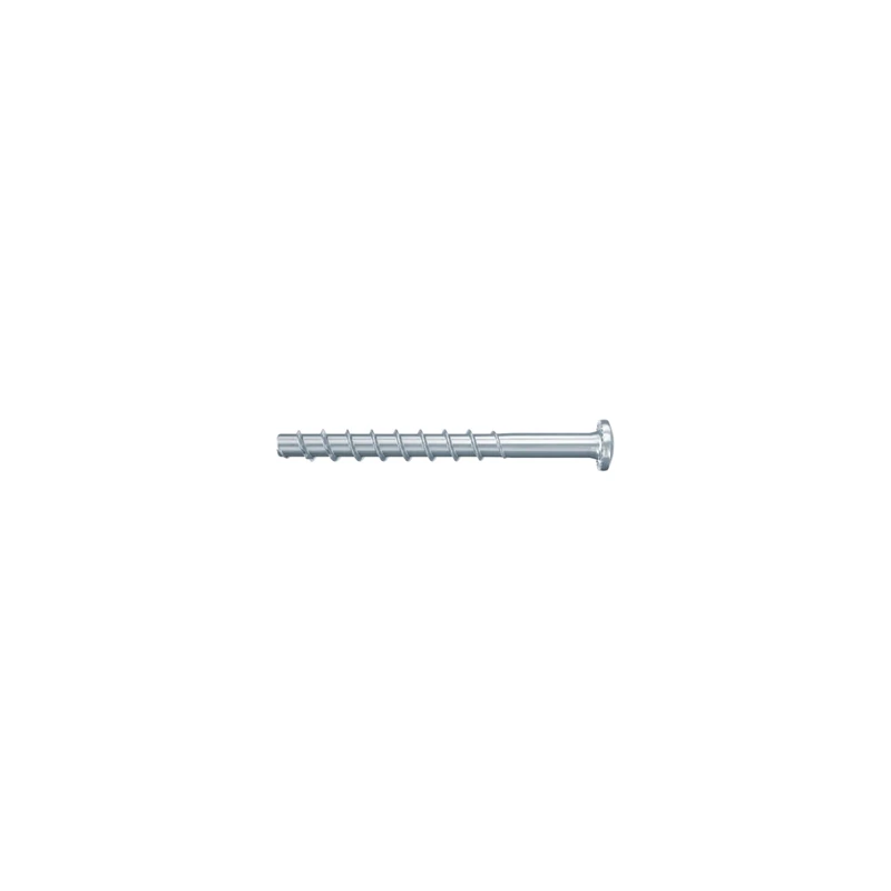 Fischer 200 x FBS 4 x 30/1 P Panhead Concrete Screws Galvanised Steel Quick Installation in Concrete and Masonry Ideal for Electrical and SHKL Installations