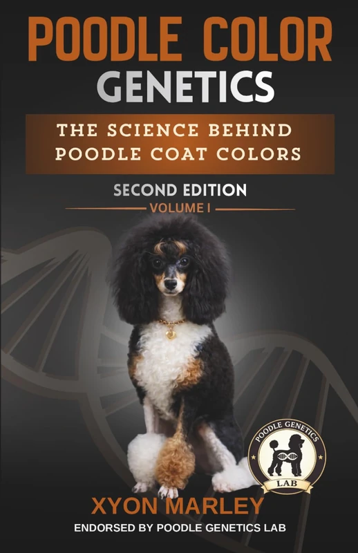 Poodle Color Genetics: The Science Behind Poodle Coat Colors - Image 1