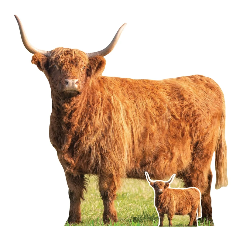 SC4955 Young Highland Cow in Meadow Cardboard Cutout Height 93cm - Image 1