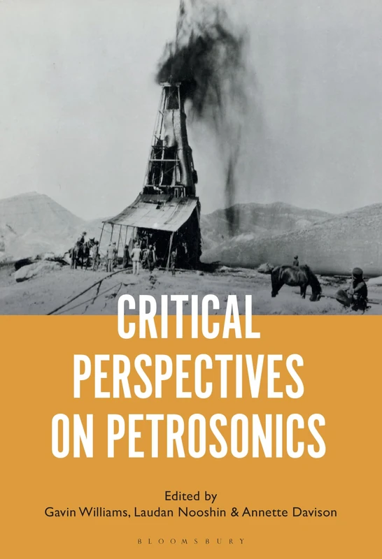 Critical Perspectives on Petrosonics