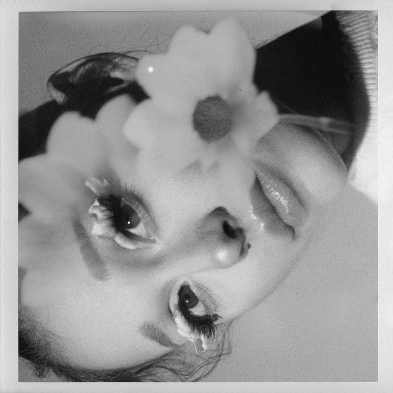 petal (Japan Deluxe Edition)