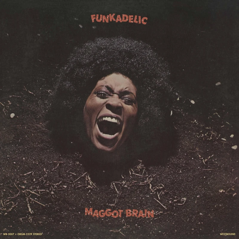 Maggot Brain (45 Rpm Edition) [Vinyl LP] [VINYL]